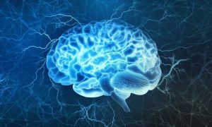 cerebro iluminado